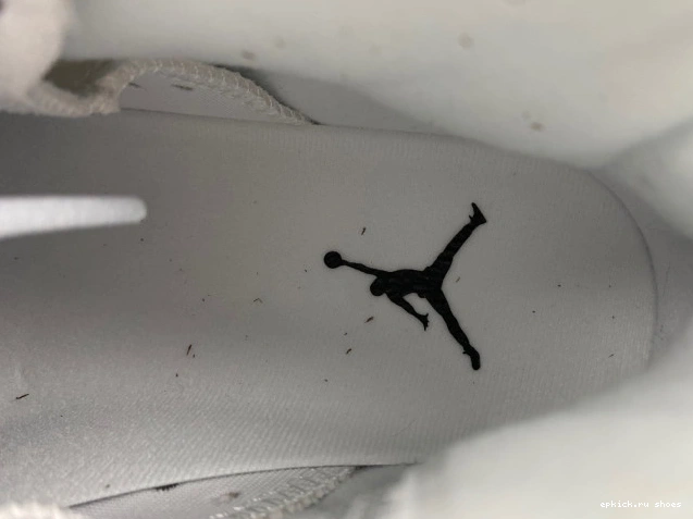 Rep Reverse CT8529-112 Oreo Air Jordan 6 0807